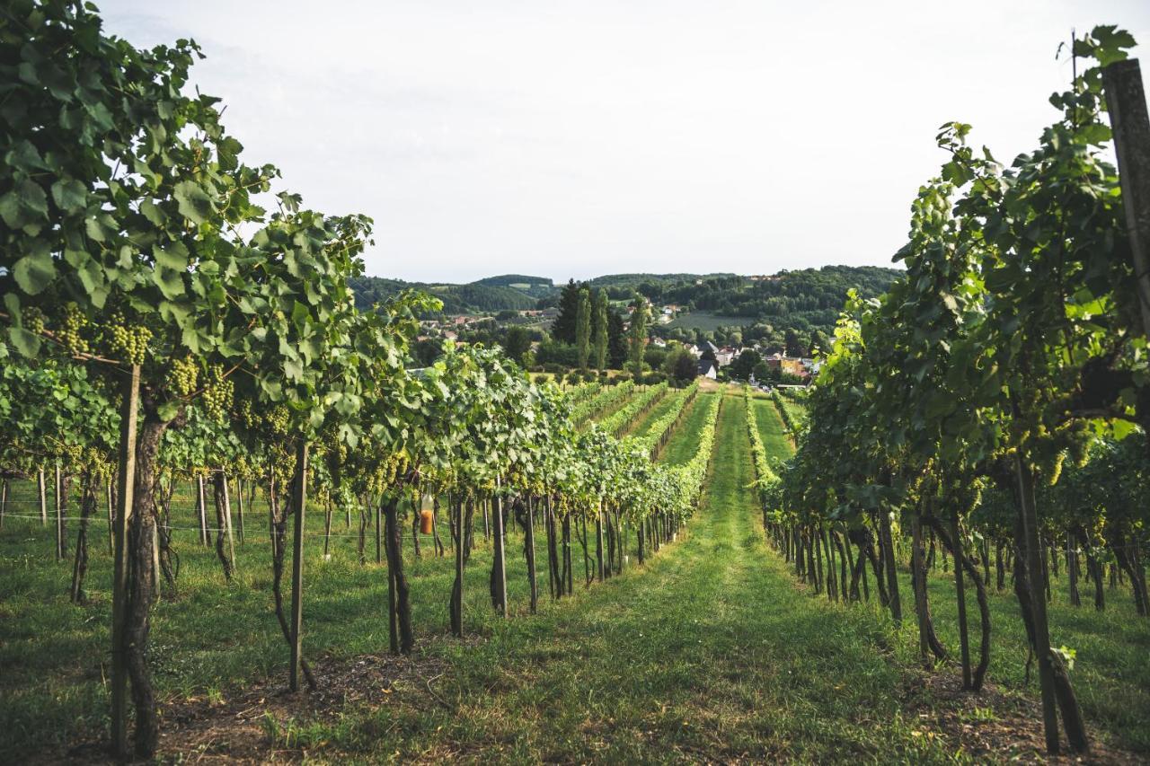 Wein & Gaestehof Erlacher Hartmannsdorf Exterior foto